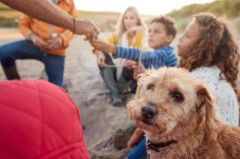 Pet Dog With Multi-Generation Family Toasting Marshmallows Around Fire On Winter Beach Vacation