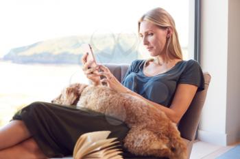 Woman Using Mobile Phone Relaxing In Chair By Window At Home With Pet Dog