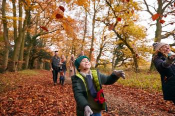 Children Throwing Leaves As Multi-Generation Family Walk Along Autumn Woodland Path