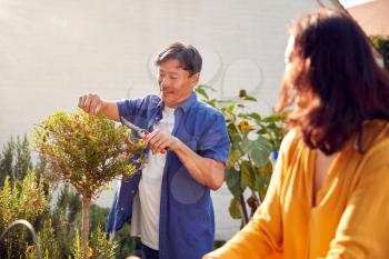 Close Up Of Mature Asian Couple At Work Watering And Pruning Plants In Garden At Home