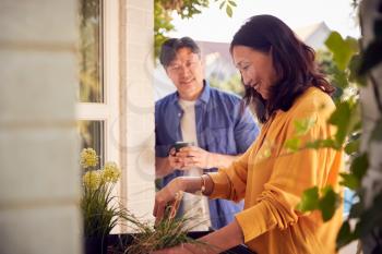 Mature Asian Couple Planting Plants Into Wooden Garden Planter At Home