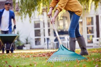 Close Up Of Mature Asian Couple Working In Garden At Home Raking And Tidying Leaves Into Barrow