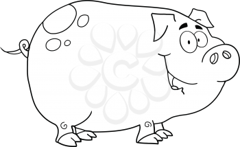 Sow Clipart