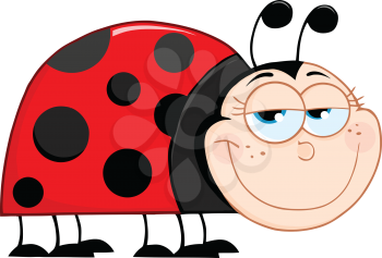 Coccinellidae Clipart