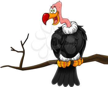 Raptor Clipart