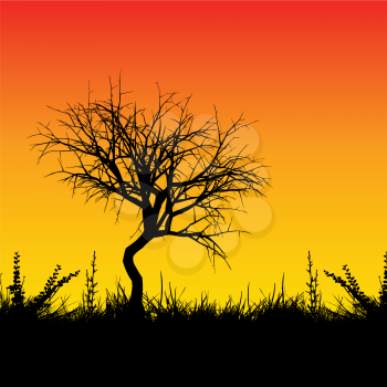 Silhouette of a tree against a sunset sky