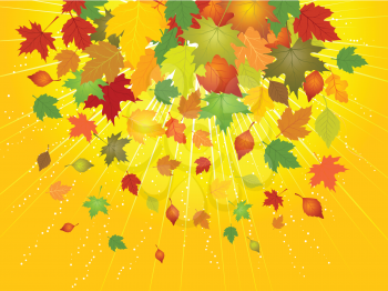 Royalty Free HD Background of Falling Autumn Leaves