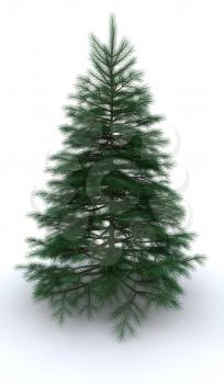 3D render of a fir tree