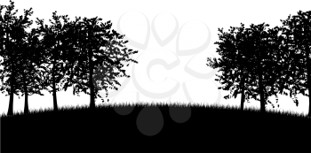 Silhouettes of trees 