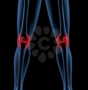 Medical skeleton with a close up of the legs showing pain in the knees