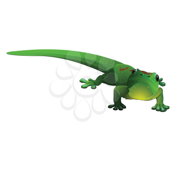 Royalty Free Clipart Image of a Gecko