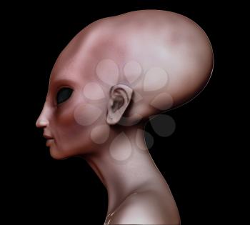 Hybrid alien woman elongated head / skull side view