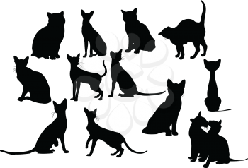 Royalty Free Clipart Image of Cat Silhouettes