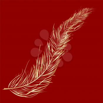 Gold feather over red background- clip art