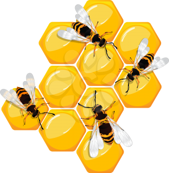 Bees on a honeycomb, isolated objects over white