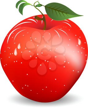 Image shows a fresh, juicy red apple over white background. Gradient mesh object.