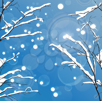 Winter leafless trees background. Tansparency effect used.