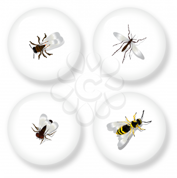 A set of four buttons with detailed drawing of flying insects. Isolated objects on white background.