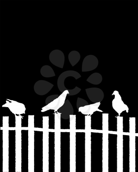 High contrast composition with pigeons sitting on top of a wooden fence and room for text