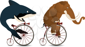 Cartoon style drawing of a mammoth and a whale racing on bicycles