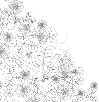 Clover leaves and flowers sketch on white background