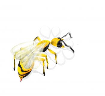 Watercolor wasp illustration over white background