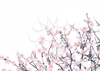 Watercolor illustration with wild pink flowers over a white background