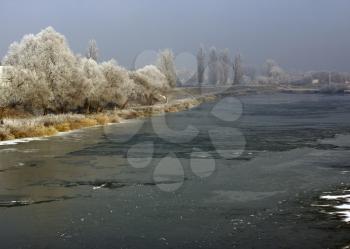 Winter background with treez over the frozen Mures river