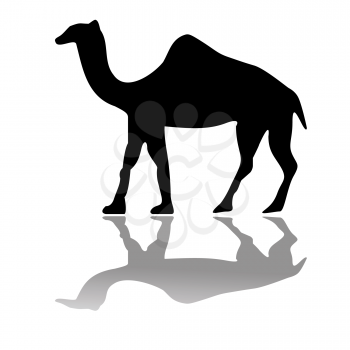 Royalty Free Clipart Image of a Camel Silhouette