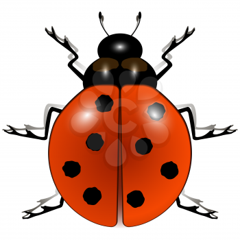 ladybug against white background, abstract vector art illustration; image contains transparency