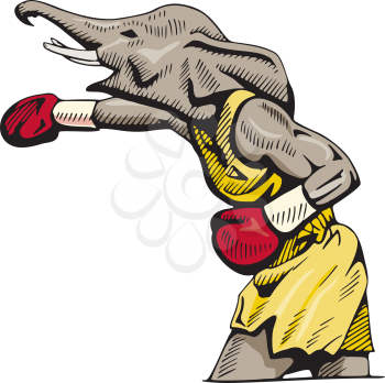 Boxing Clipart