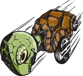 Turtle Clipart