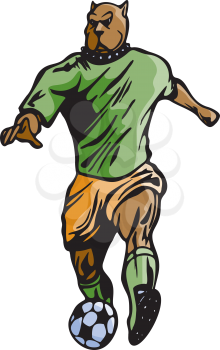 Player Clipart