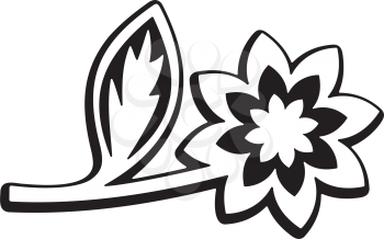 Blossom Clipart