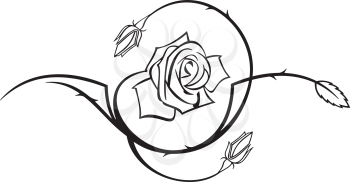 Rose Clipart