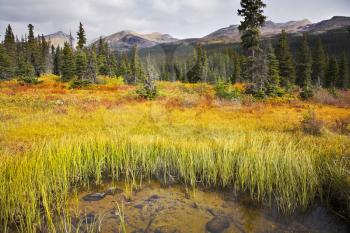 Royalty Free Photo of a Field by the Rocky Mountains