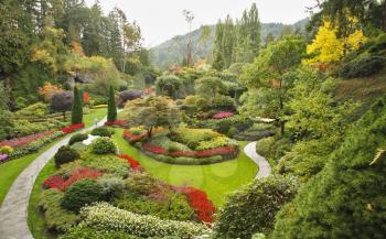 Royalty Free Photo of Flowers in the Butcharts Garden in Canada