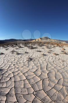 Dawn in Death Valley. Dry brush on white cracked soil. Rhotograph Fisheye lens