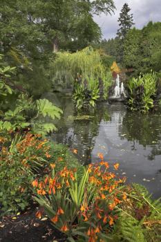  An autumn pond with a small fountain and a bed with bright flowers