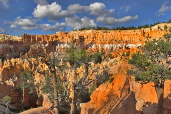 
The well-known orange rocks in Bryce canyon in state of Utah USA
