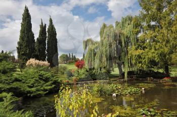 Phenomenally beautiful park-garden Sigurta. Shallow pond, trees and flowers. Northern Italy