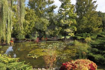 Enchantingly beautiful park-garden Sigurta. Shallow pond, weeping willow and a flowerbed of red flowers