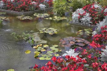  A pond with the lilies, surrounded by bright flower beds