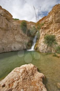  A falls and the river in reserve on the Dead Sea in Israel