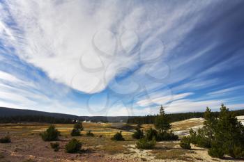 Flying clouds above meadows and woods of the most well-known park in the world Yellowstone national park