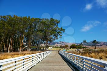 Wooden mooring at Pacific coast USA. Warm serene autumn day