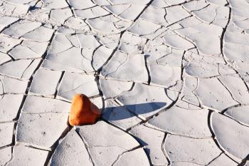 Small stone of sandstone on the cracked ground of desert in Death valley in the USA
