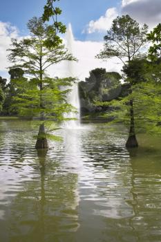 Fountain and lake in celebratory May day in Madrid