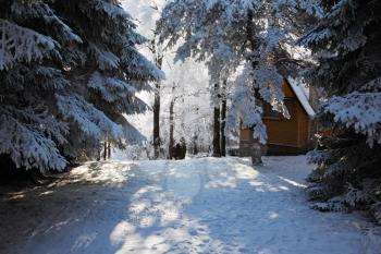 A lovely sunny Christmas Day. Snowy cozy ski hotel
