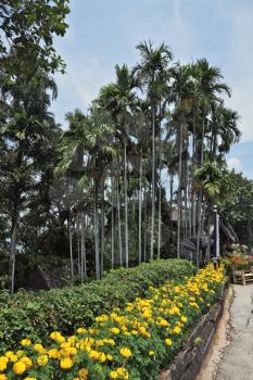 The most beautiful park in Southeast Asia. A masterpiece of landscape architecture - a huge park in Thailand. Gorgeous flower beds and tropical trees